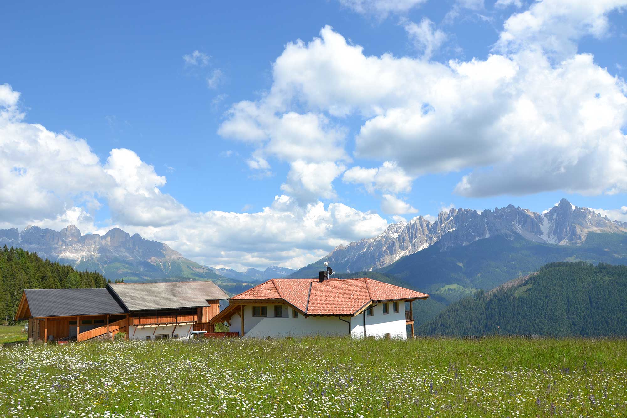 Panoramic view tot he Dolomites - mountain farm in Welschnofen/Nova Levante
