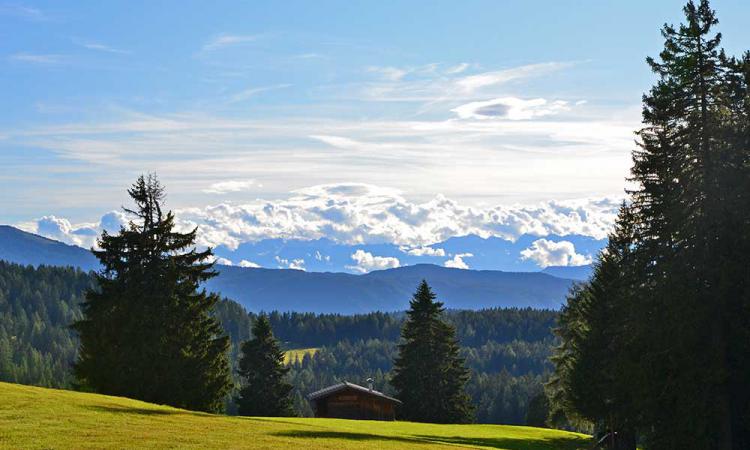 Sommer auf der Alm im Eggental