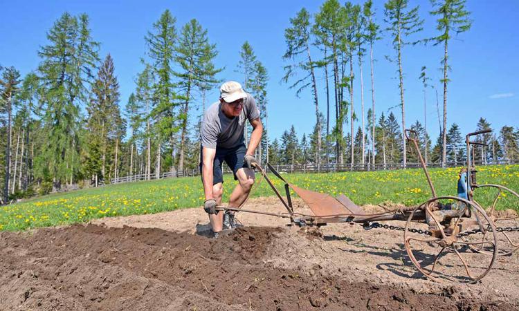 Bio-Bauer Bernd beim Pflüge des Ackers