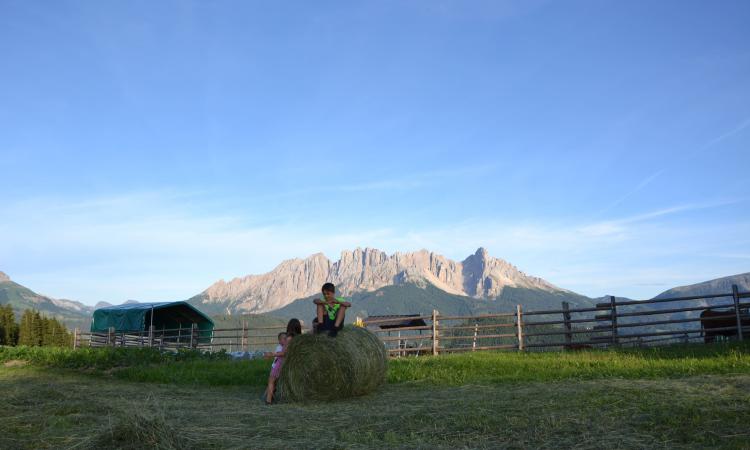 Summer on our mountain farm Samer