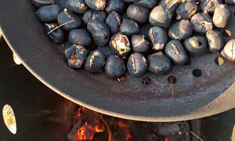 Rosted chestnuts - Tradition from South Tyrol