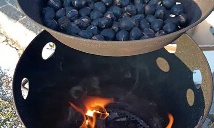 Rosting the chestnuts