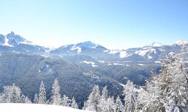 Winterferien am Samerhof perfekt für eine kleine Rodelpartie mit dem Schlitten