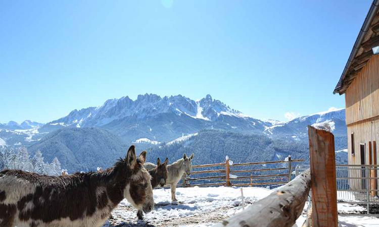 Ausblick auf die verschneiten Dolomiten