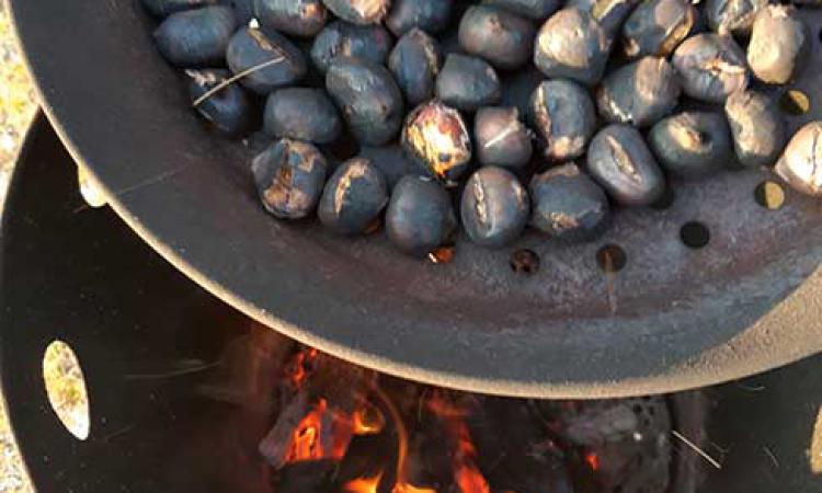 Törggelen – rosting the chestnuts on the mountain farm Samer