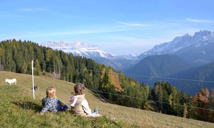 Vacanza in agriturismo e vivere il maso