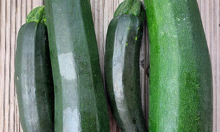 Zucchini