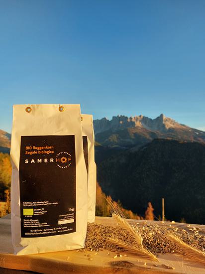 Zwei Verpackungen "Bio Roggenkorn" von Samerhof neben Roggenähren und -körnern, im Hintergrund die Berge im Abendlicht Zwei Verpackungen "Bio Roggenkorn" von Samerhof neben Roggenähren und -körnern, im Hintergrund die Berge im Abendlicht