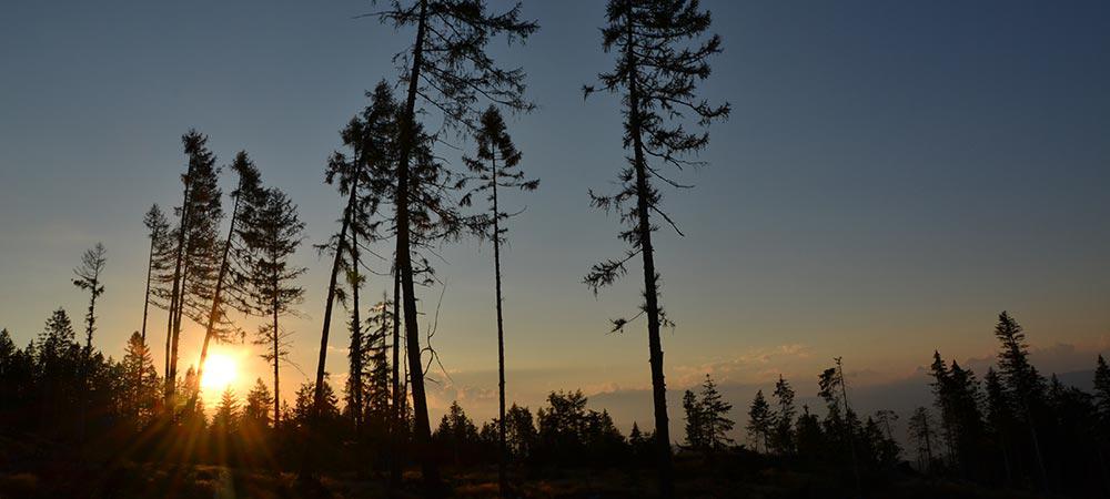 Sunset in the Eggental/Val d‘Ega