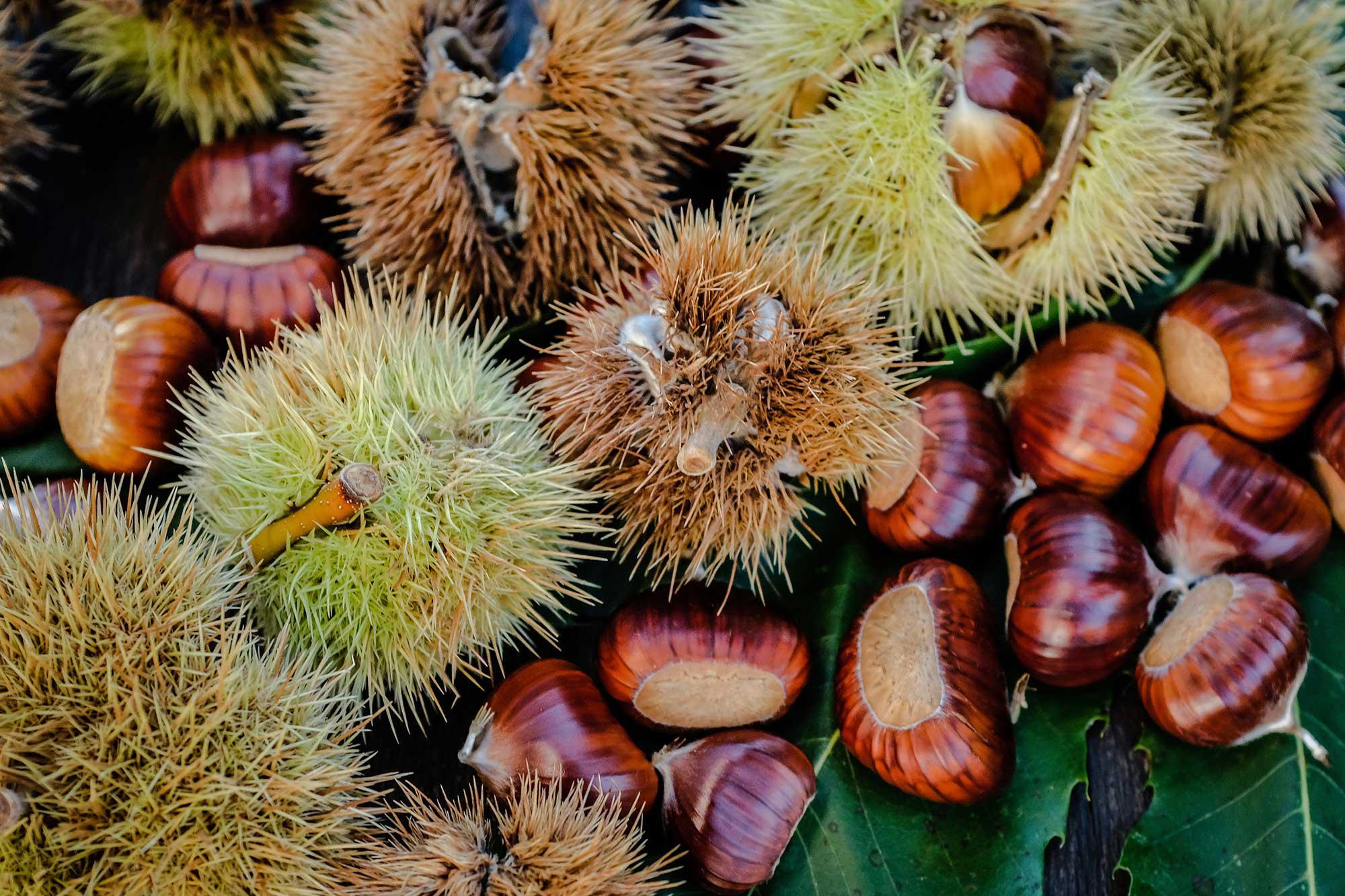 Chestnuts