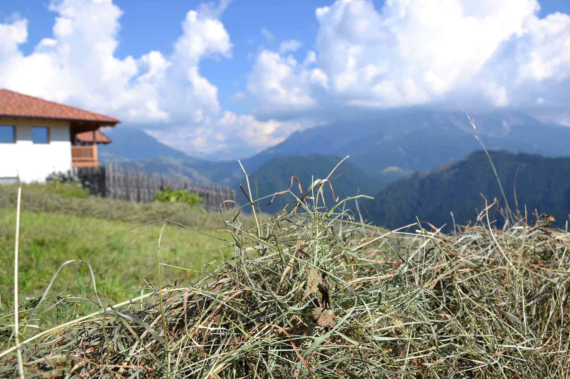 Hay harvest on the mountain farm Samer