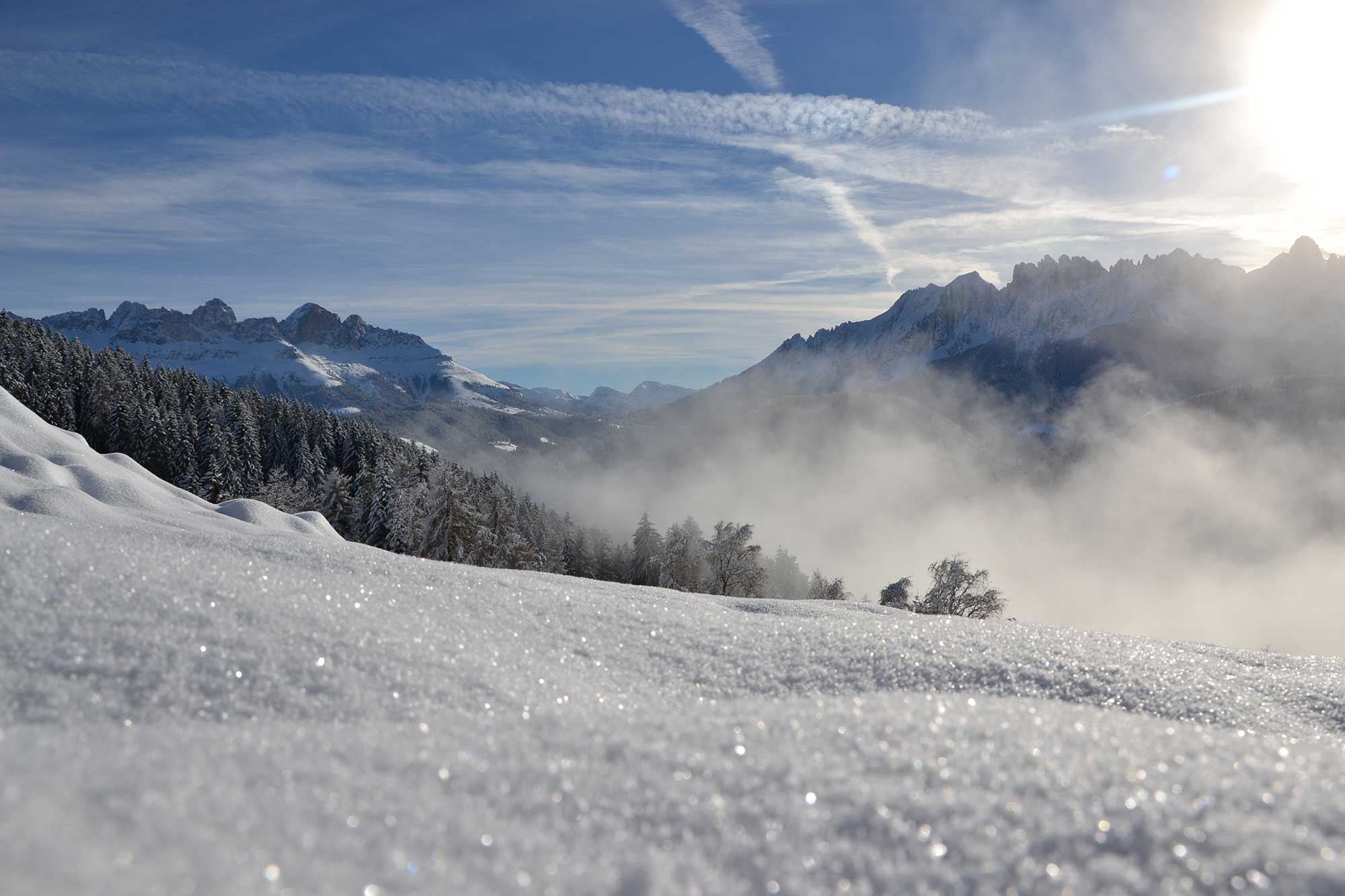 Bosco innevato attorno al maso Samer